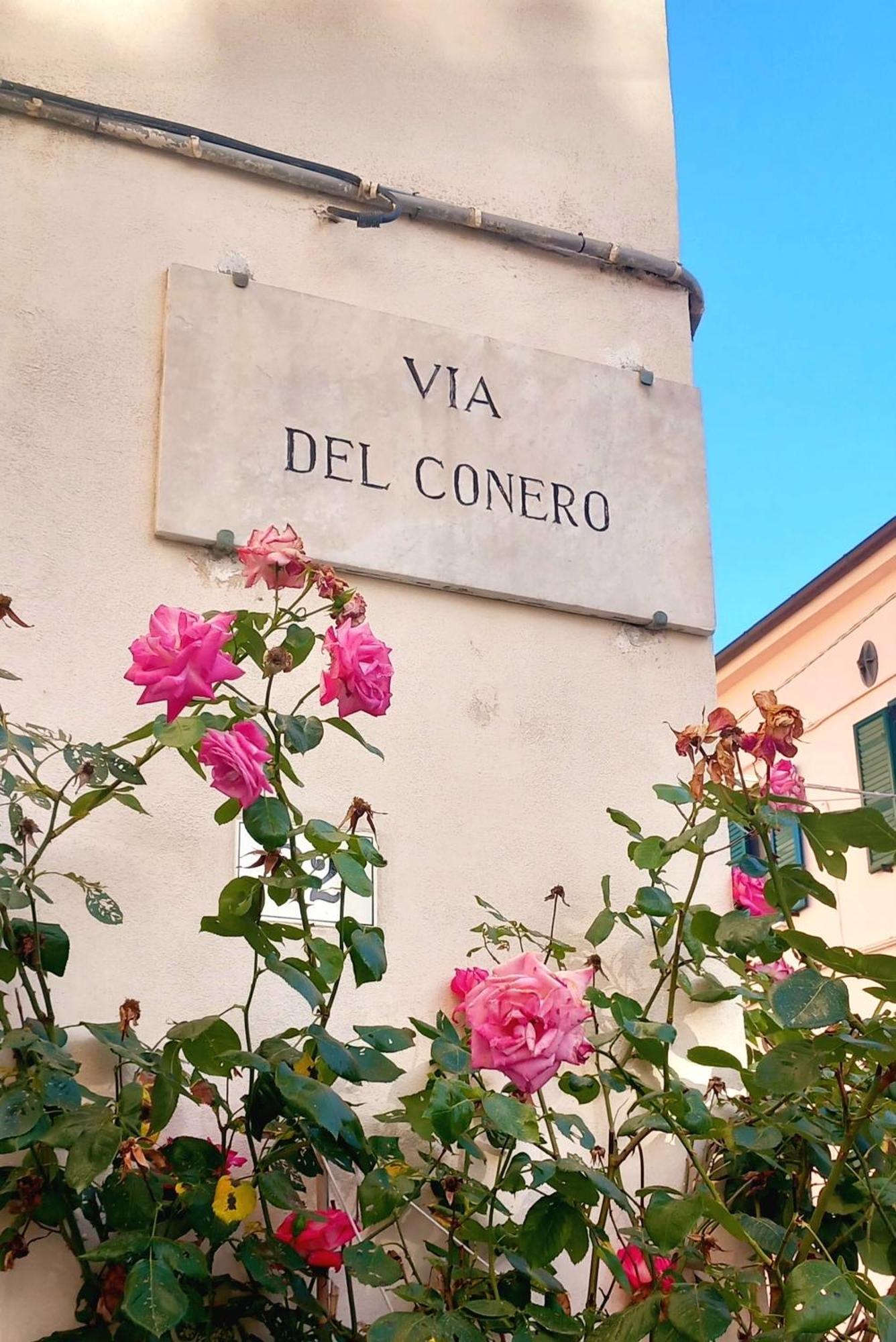Lole Sulla Via Del Conero Apartment Ancona